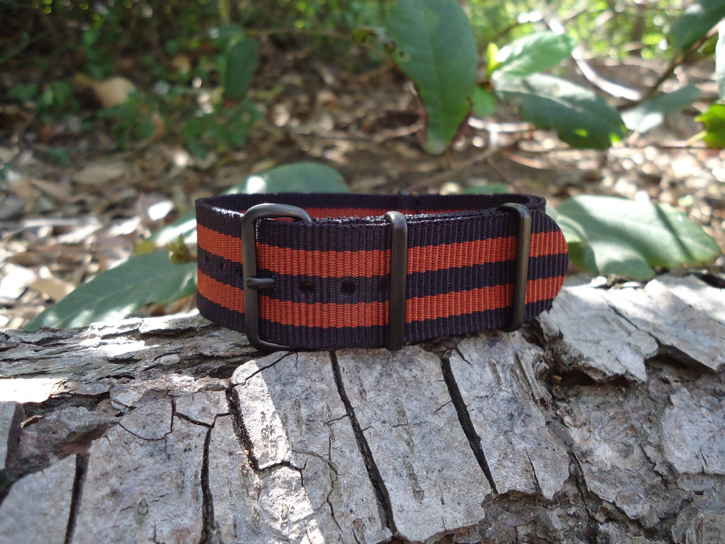 Eclipse | Black & Bronze | One-Piece | Nylon | PVD Hardware